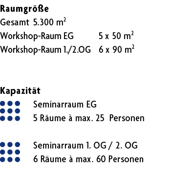 Raumgr e Gesamt 5.300 m2 Workshop Raum EG 5 x 50 m2 Workshop Raum 1./2.OG 6 x 90 m2 Kapazit t Seminarraum EG 5 R ume...